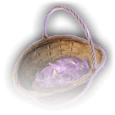 Autumncrocus Bundle Icon