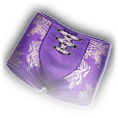 Трусы направителя