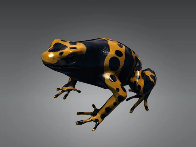 Смертельно ядовитая лягушка
