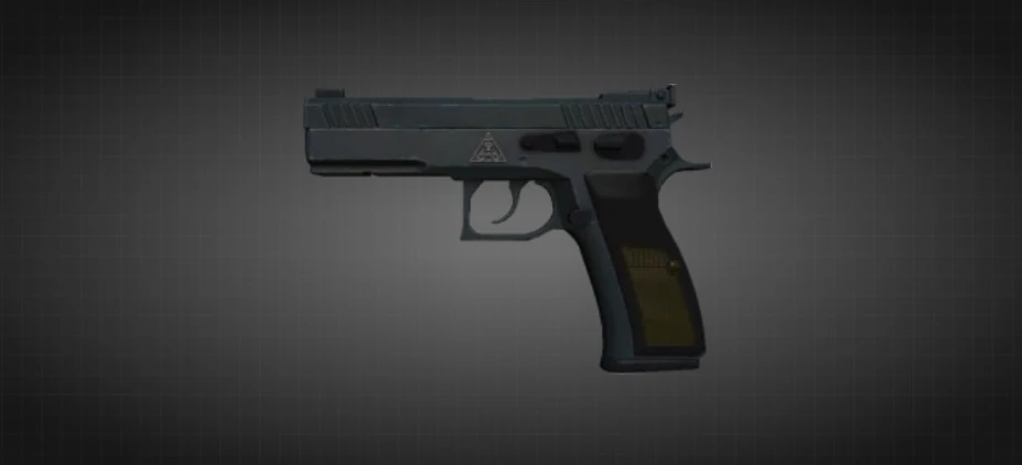 Вариант Агентства