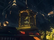 Вольная птица (2)