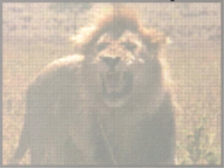 Сильнее, чем 42 карлика