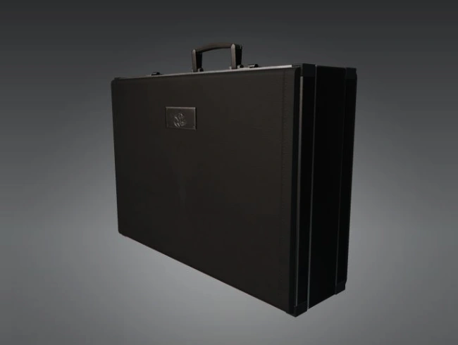 Директорский кейс МКА