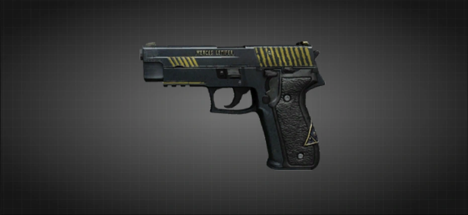 Вариант Агентства