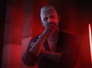 Arcade coconut group