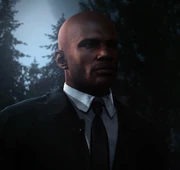 Агент Прайс