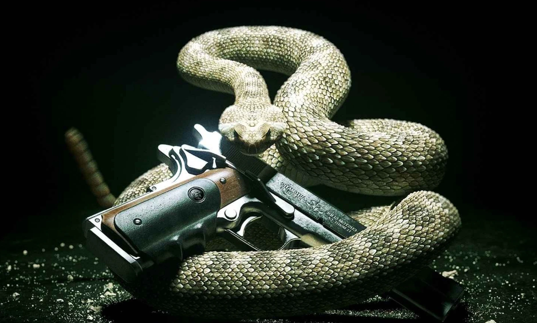 Змея. Hitman- Absolution