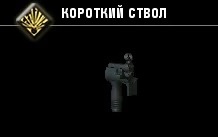 Короткий ствол-1