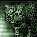 Тескатлипока в брифинге