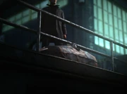 Рожа кирпича просит