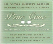 Реабилитационный центр «Сосновая шишка»