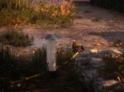 Llama electrocution kill