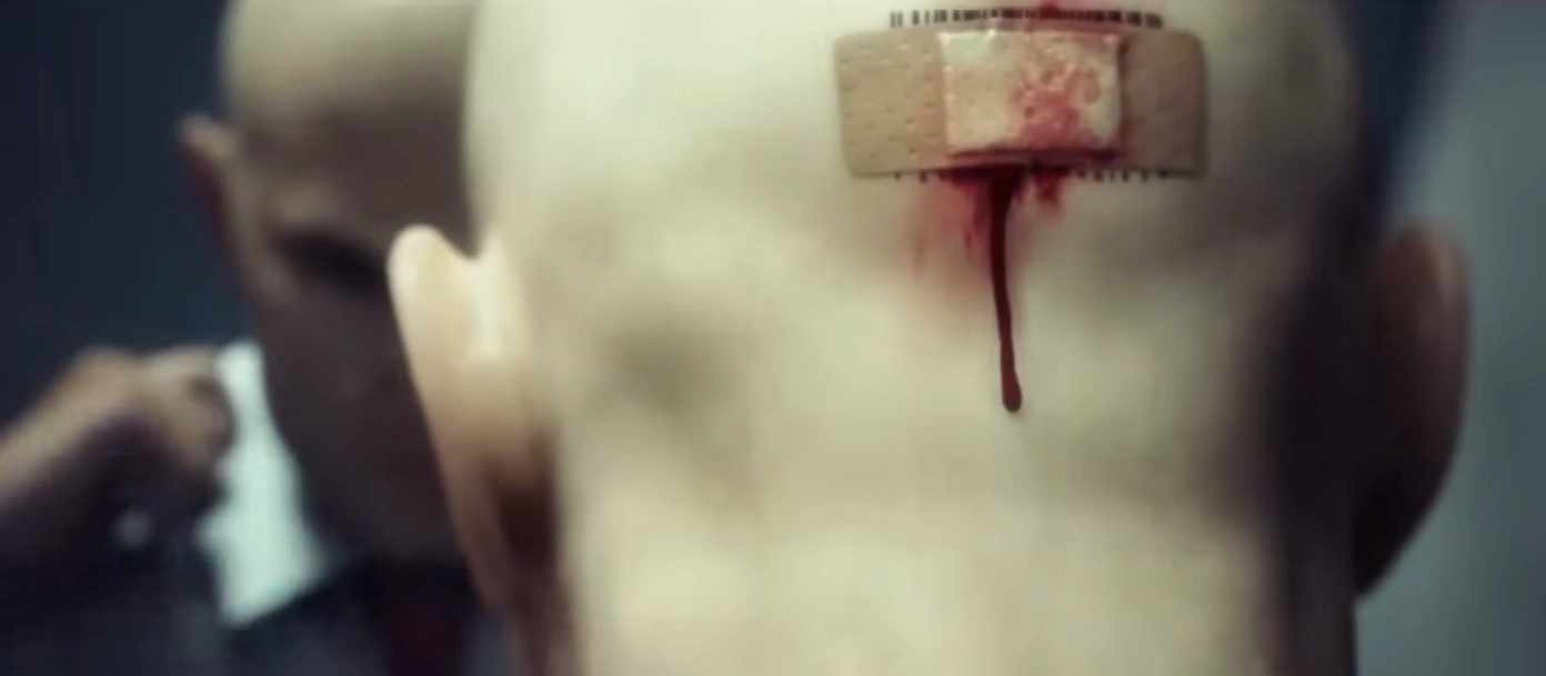 Метаболизм