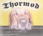 Служебные собаки «Shormod»