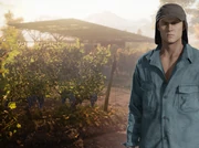 Виноградник