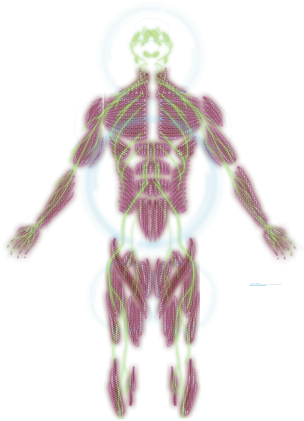 Штурмовик (класс)