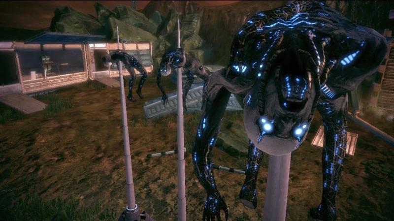 Хаски на «зубах дракона»