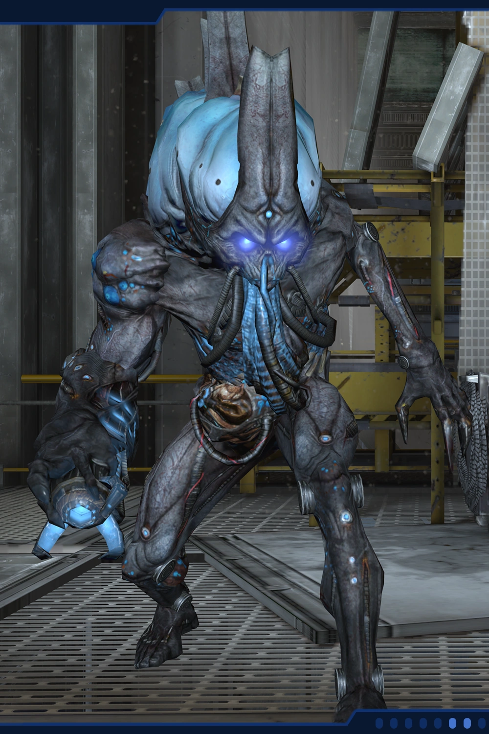 Адъютант (MEO)