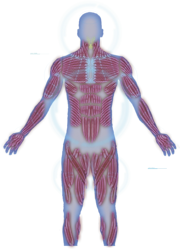 Солдат (класс)