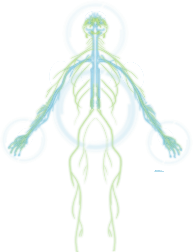 Страж (класс)