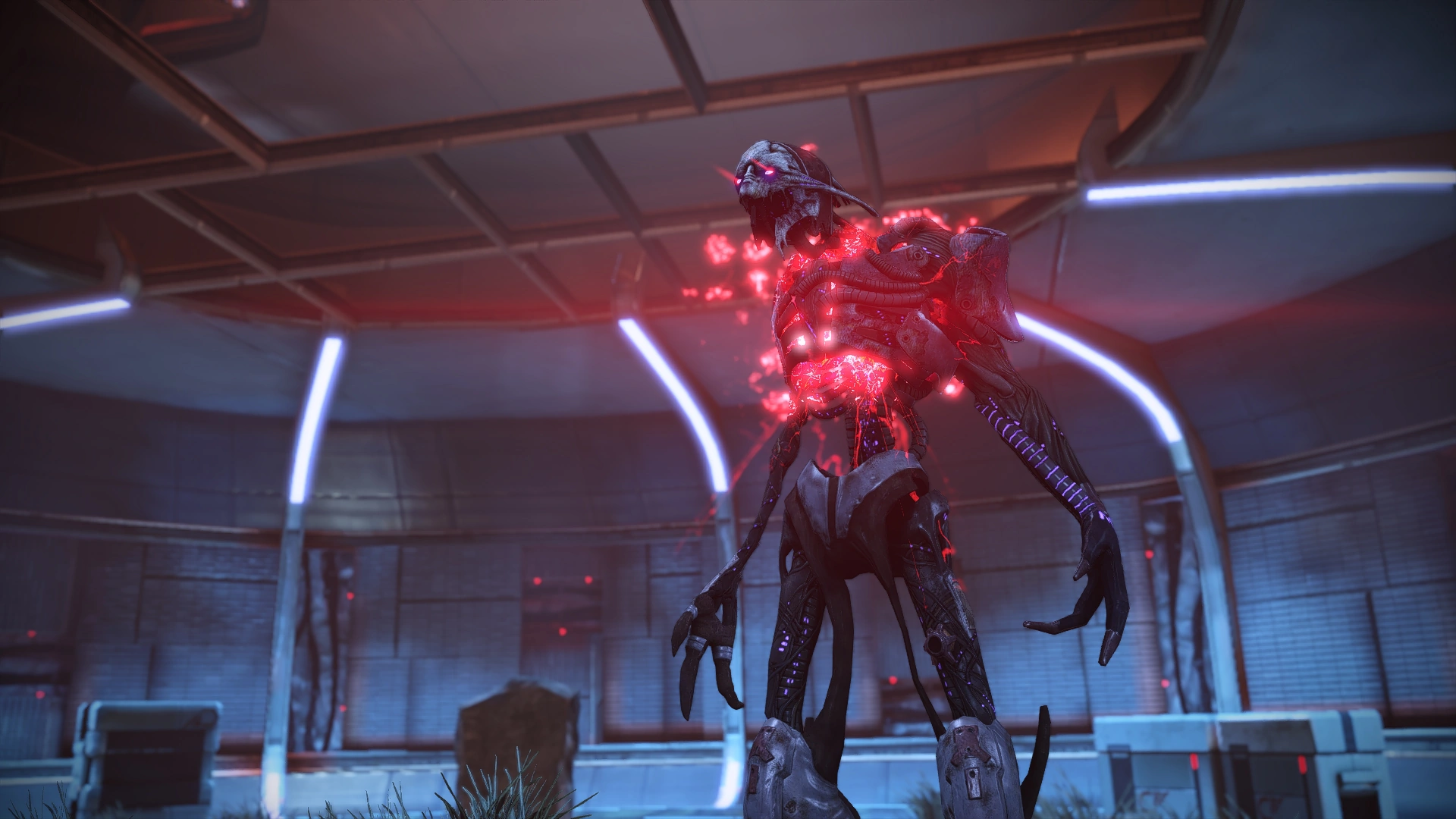 ME Сарен хаск