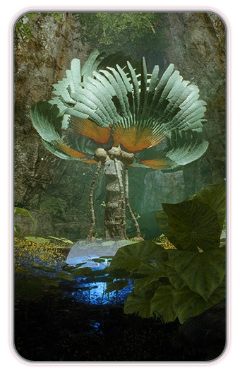 MEA Флора и фауна (кодекс)