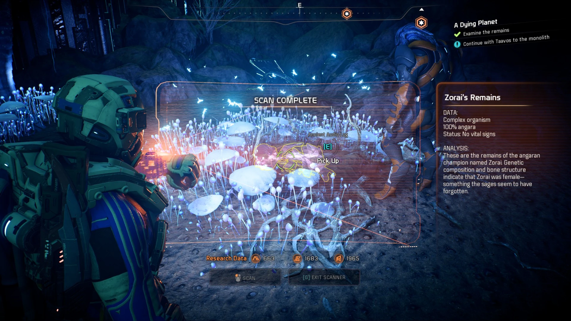 Останки Зорай