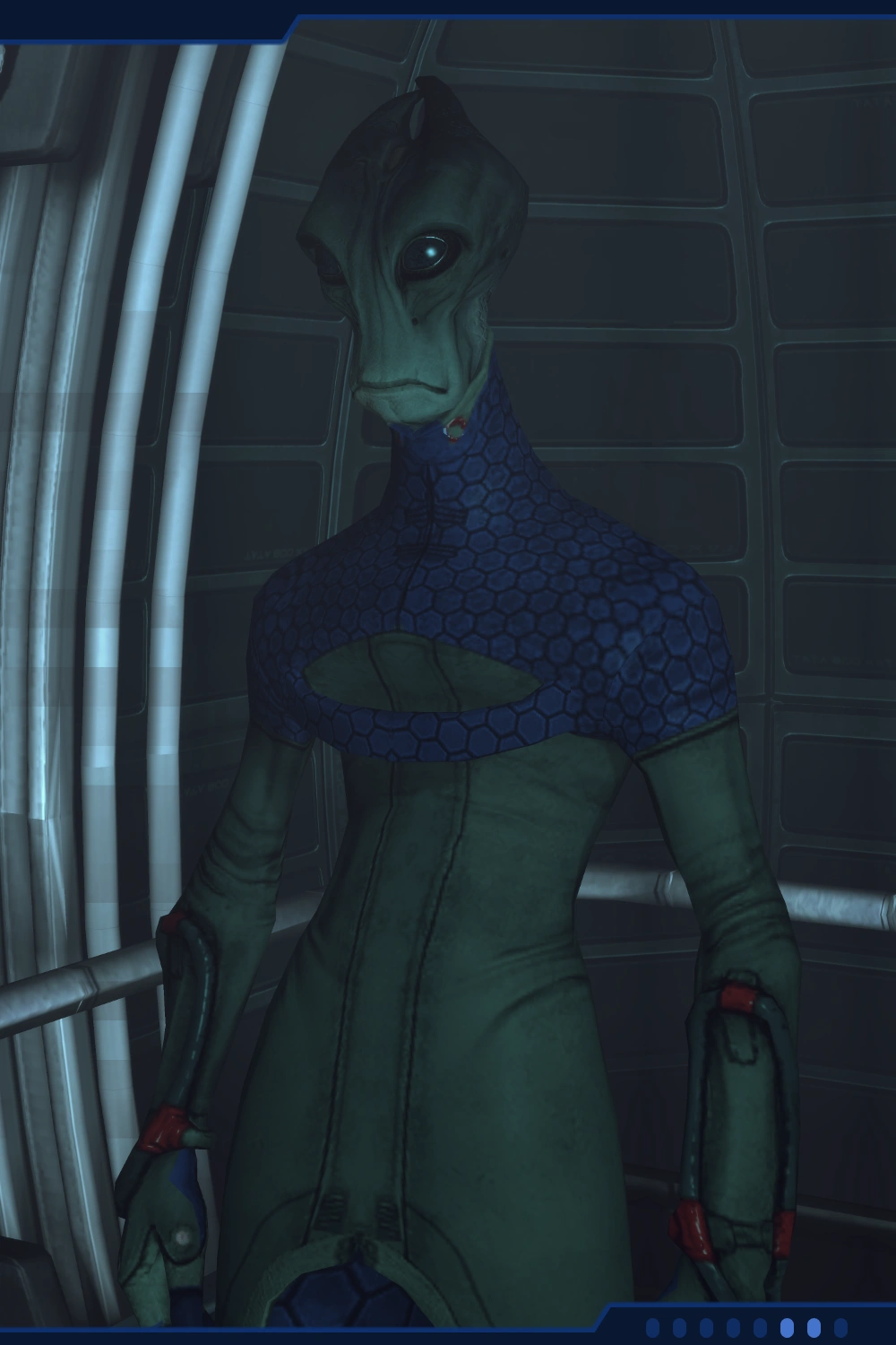 ПаллонПортрет