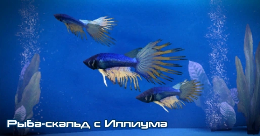 ME3 Рыба-скальд с Иллиума