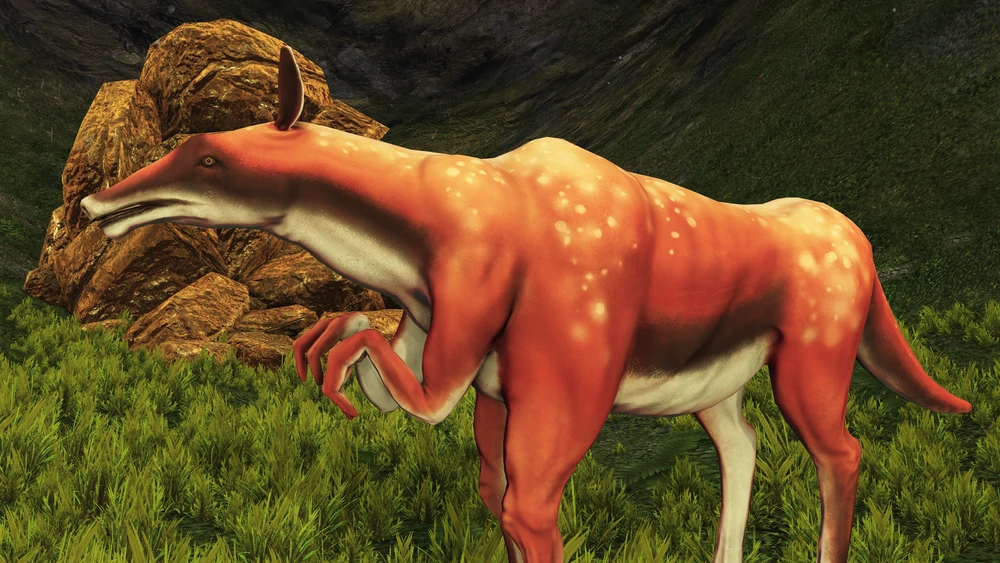 Ontarom - shifty looking cow