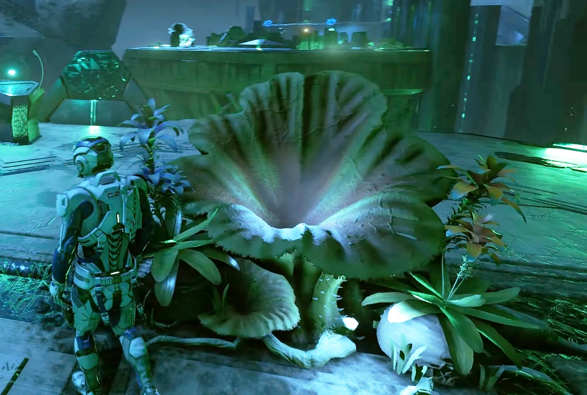 Неизвестное растение