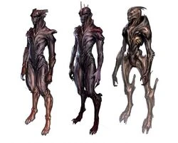 Turian without armor