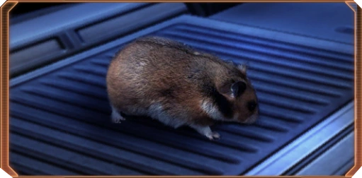 ME2 Космический хомячок