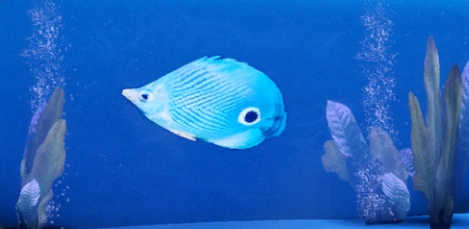 ME2 Преджекский веслонос