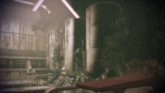 Райя (насаждения)