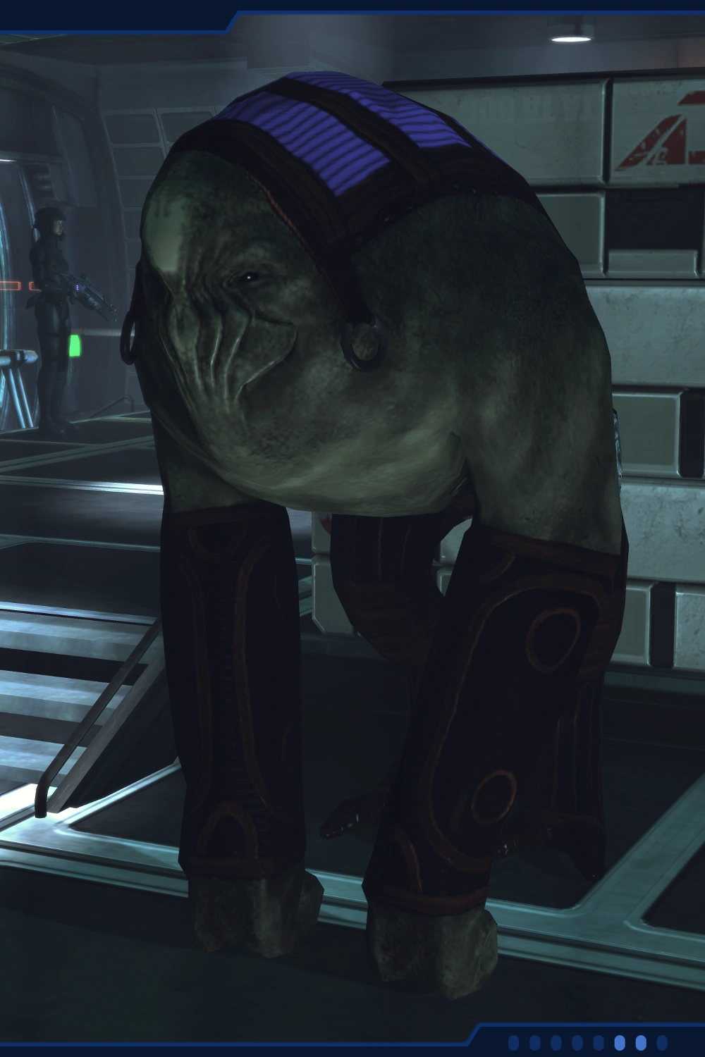 ПетоциПортрет