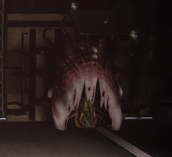 Капсула Торианина, Нодакрус