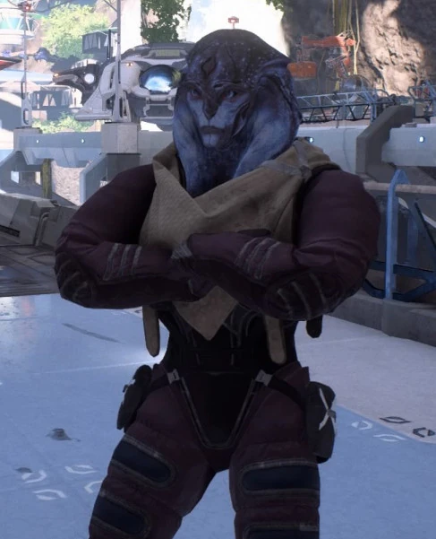 Энро Босаан