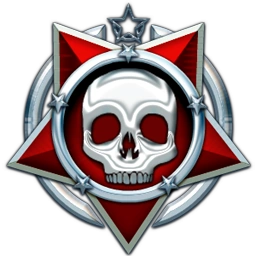 ME1 Distinguished Combat Medal