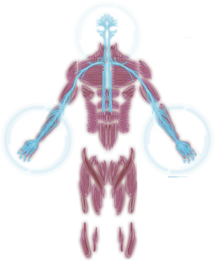 Разведчик (класс)