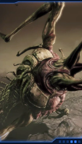 КалросВики