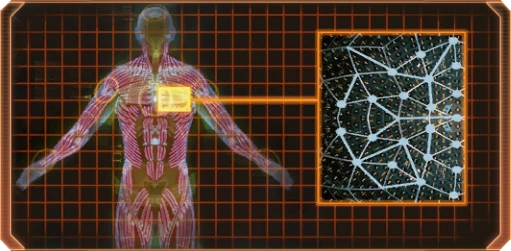 ME2 Жёсткое укрепление кожи