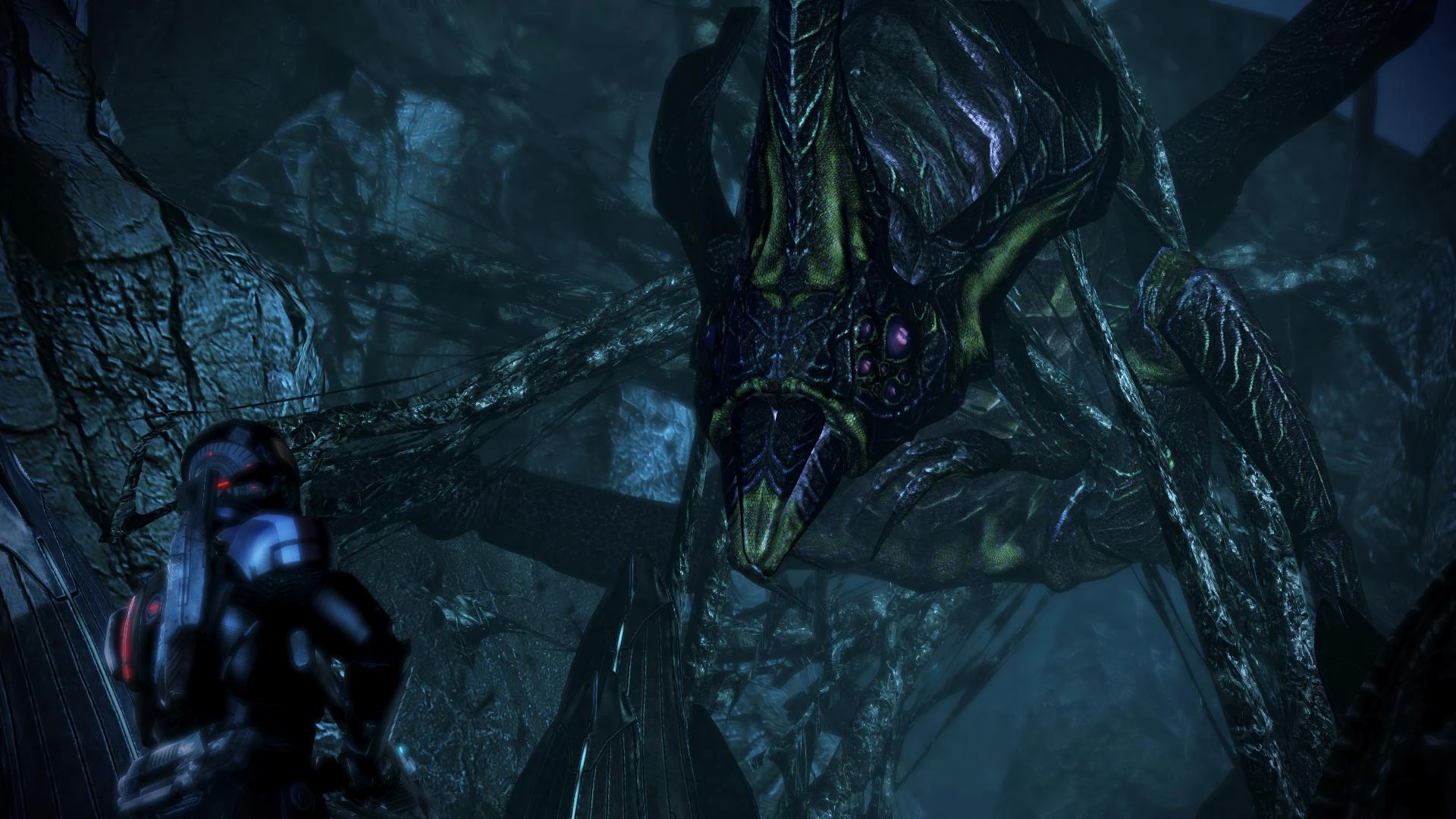 Королева рахни