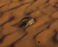 Шлем Рейнольдса