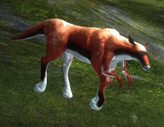 Коричневое море - Восток - Нодакрус