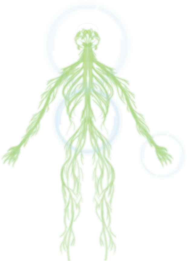 Адепт (класс)