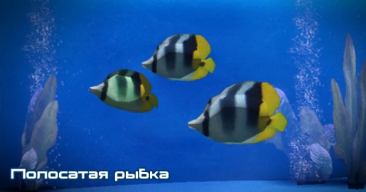 ME3 Полосатая рыбка