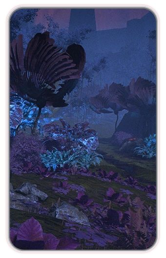 MEA Хаварл (кодекс)