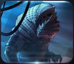 Патриарх скрылся