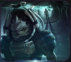 Никогда не встречали